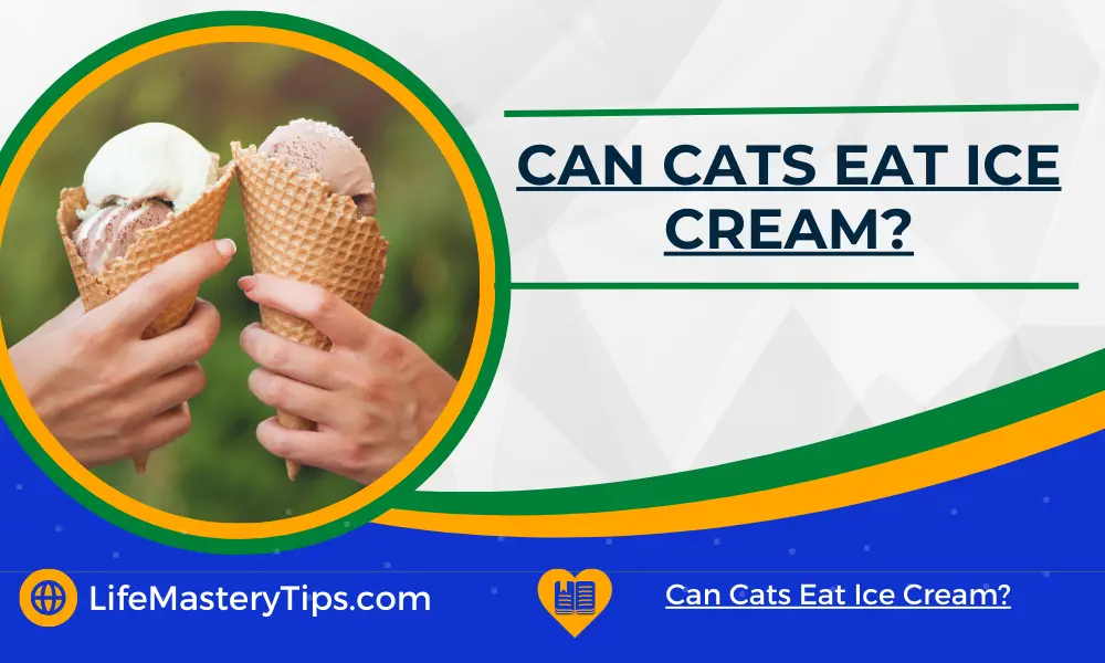 Can Cats Eat Ice Cream