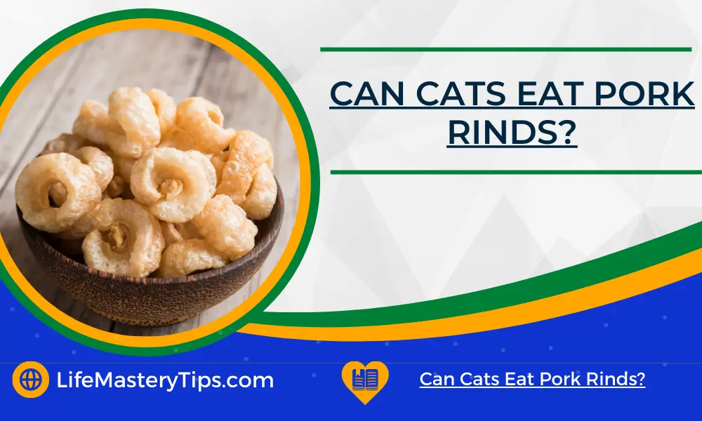 Can Cats Eat Pork Rinds