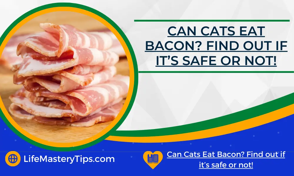 Can Cats Eat Bacon_ Find out if it’s safe or not!
