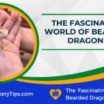The Fascinating World of Bearded Dragons