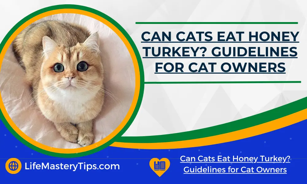 Can Cats Eat Honey Turkey Guidelines for Cat Owners