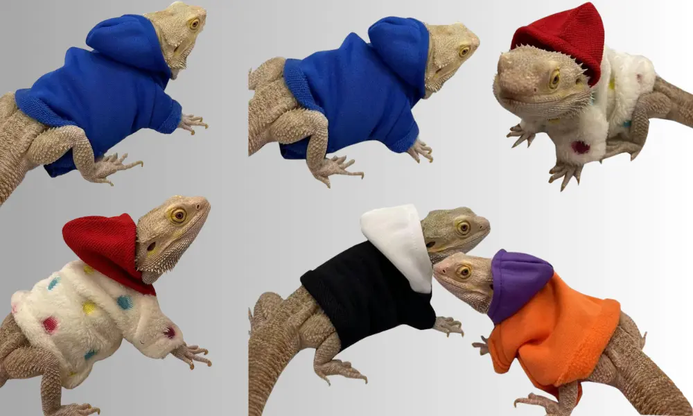 Bearded Dragons Clothes Reptile Apparel Handmade Cotton Material Hoodies Sweater for Skin Protection Crested Gecko Chameleon (Pure Blue, Large)