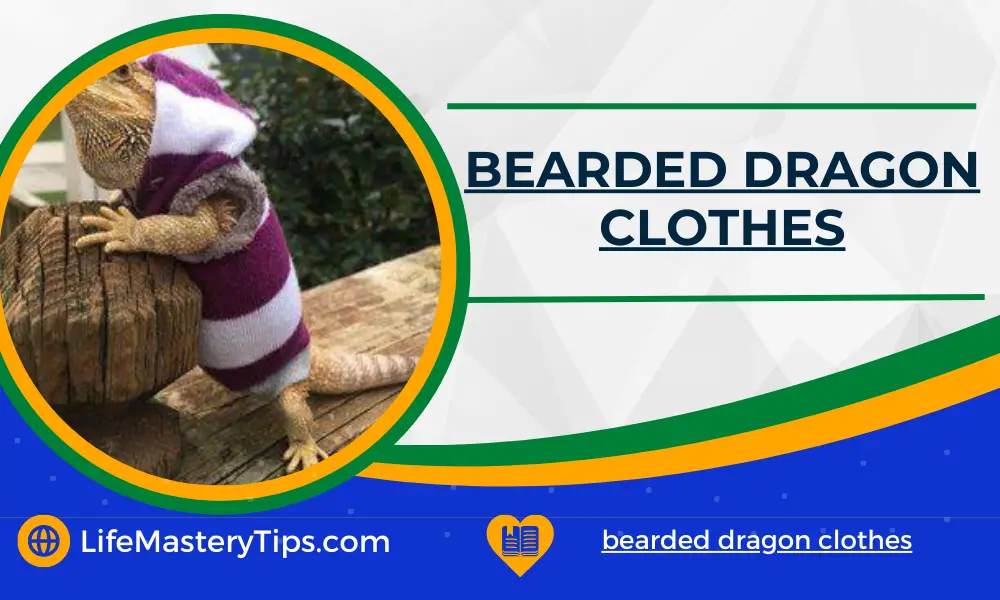 bearded dragon clothes