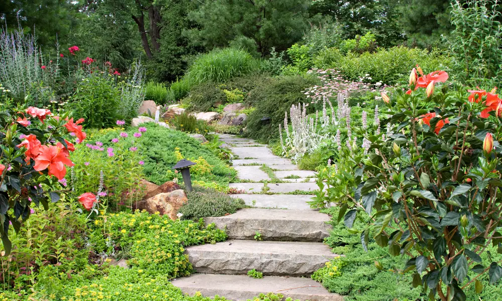 Garden Theme Benefits of Cultivating a Green Oasis at Home