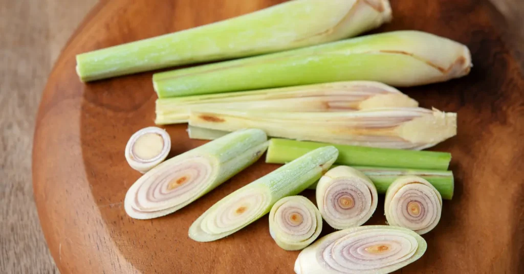 Lemongrass Plant Benefits and Caring Tips